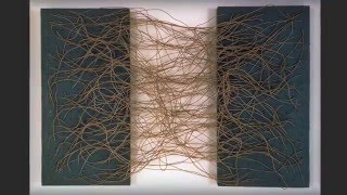 Eva Hesse  a Career in Art in a Short Life [upl. by Niad]