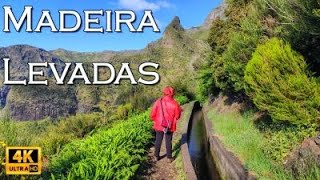 Madeira Levada Walks • 4K [upl. by Hailee]