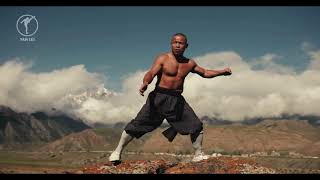 Shaolin Monk Iron Body Training [upl. by Ailemaj]