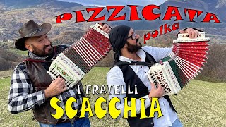 PIZZICATA polka virtuosa I FRATELLI SCACCHIA ENZO e NICOLA organetto  dubbotte  acordeon [upl. by Blythe]