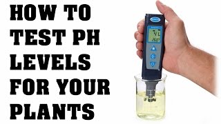 How To Use A PH Tester and Calibration  Testing PH In Your Water [upl. by Gideon258]