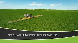 Soybean Fungicide Timing and Tips From Ag PhD 1158  Air Date 61420 [upl. by Emalee]