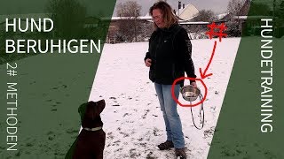 Hund beruhigen ► 2 effektive Methoden zur Hund Beruhigung ► Hund beruhigen [upl. by Ekrub262]