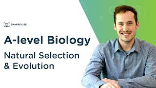 Natural Selection amp Evolution  Alevel Biology  OCR AQA Edexcel [upl. by Rickey]