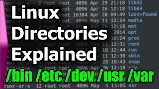 Linux File SystemStructure Explained [upl. by Komarek]