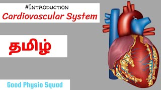 Physiology  Introduction to the Cardiovascular System in Tamil Lecture [upl. by Nallac]