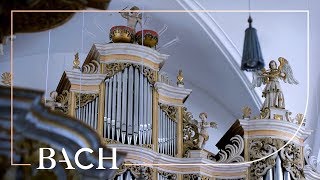 Bach  Fantasia and fugue in C minor BWV 537  Wiersinga  Netherlands Bach Society [upl. by Aleacem145]