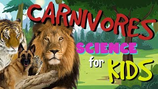 What is a Carnivore  Science for Kids [upl. by Leopoldine]