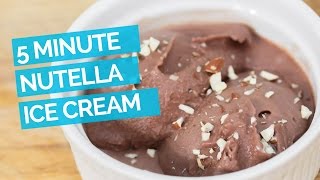 Nutella Ice Cream 5 Minute Recipe [upl. by Gayla]