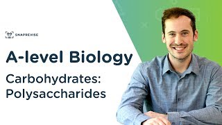 Carbohydrates Polysaccharides  Alevel Biology  OCR AQA Edexcel [upl. by Meda]