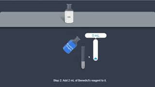 Glucose Benedicts test [upl. by Nnalorac989]