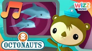 Adorable Dolphins  Songs for Kids  Octonauts  Wizz Music [upl. by Vine]