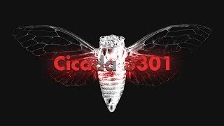 Cicada 3301 An Internet Mystery [upl. by Enilekcaj878]