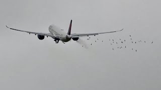 Delta A330 Takeoff Goes Wrong [upl. by Ellemaj]