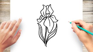 How To Draw Iris Flower Step by Step [upl. by Annekim]