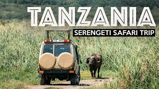 TANZANIA SAFARI  Exploring The Serengeti [upl. by Derna]