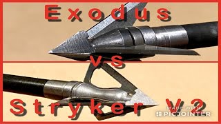 OZCUT ELITE SERIES 3 BLADE Broadhead Test [upl. by Ethyl]