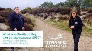 What was Studland Bay like during summer 2020 [upl. by Lorne288]