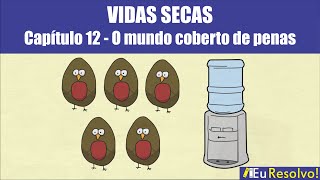 Resumo de Vidas Secas  Capítulo 12  O mundo coberto de penas [upl. by Mears]