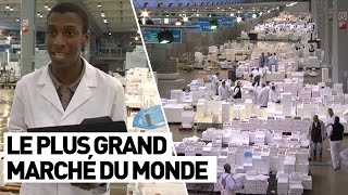 LE PLUS GRAND MARCHÉ DU MONDE Rungis [upl. by Euqinna610]