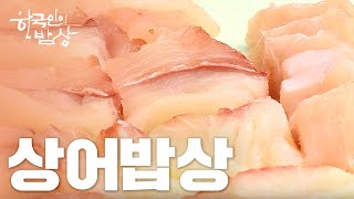 한국인의밥상 상어밥상을 아십니까  Full VOD [upl. by Nogaem564]