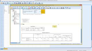 SPSS  Homogeneity Test [upl. by Langelo]