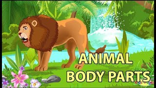 Learn the Animal Body Parts [upl. by Aruon]