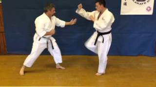 Goju Ryu Karate  Ippon Kumite Takedowns [upl. by Miguela45]