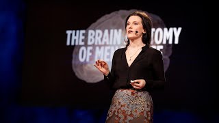 How menopause affects the brain  Lisa Mosconi [upl. by Aylmer]