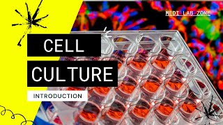 Introduction of Cell Culture  Cell Culture Basics [upl. by Ranzini]