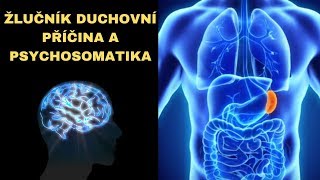 Žlučník  duchovní příčina a psychosomatika duchovní příčiny nemocí [upl. by Clemente580]