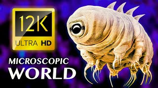 MICROSCOPIC WORLD 12K ULTRA HD [upl. by Silera]