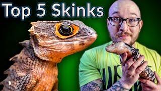 Top 5 BEST Pet Skinks  Potato Parade [upl. by Eussoj]