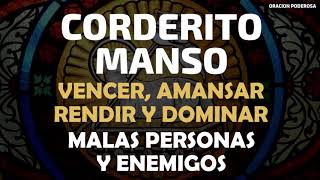 Corderito Manso oración para vencer amansar rendir y dominar malas personas y enemigos [upl. by Consuela]