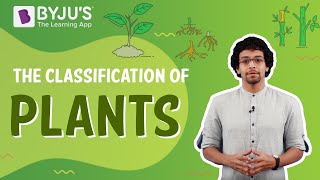 The Classification Of Plants  BYJUS [upl. by Eseilana975]