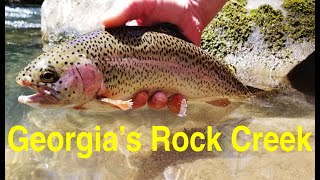 Trout Fishing Georgias Rock Creek [upl. by Andres338]