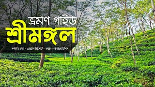 Sreemangal Travel Guide  শ্রীমঙ্গল ভ্রমণের সকল তথ্য  Moulvibazar Sylhet  ভ্রমণ গাইড [upl. by Ynehteb375]