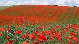 In Flanders Fields by John McCrae May 1915 [upl. by Friedberg215]