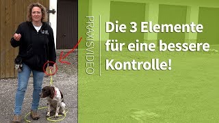 Hundetraining ►Die 3 Elemente um deinen Hund besser zu kontrollieren ► Praxisvideo [upl. by Venetia816]