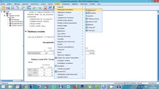 Tableau croisé odd ratio et risque relatif sous SPSS analyse des facteurs de risques [upl. by Ahsinert]