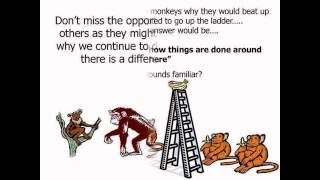 What is the Five Monkeys Experiment [upl. by Derej]