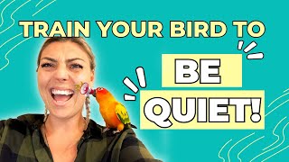 How to get your Sun Conure to BE QUIET [upl. by Ahsiatal]