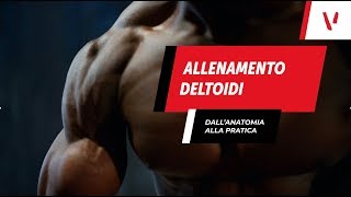 Allenamento deltoidi dallanatomia alla pratica [upl. by Westmoreland]