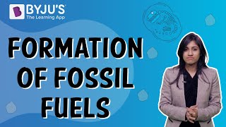 How Are Fossil Fuels Formed  Class 5  Learn With BYJUS [upl. by Osanna]