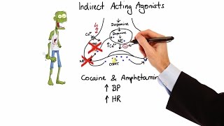 Pharmacology  ADRENERGIC RECEPTORS amp AGONISTS MADE EASY [upl. by Ellison]