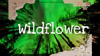 Wildflower by Arnel PinedaLyrics from Wildflower Ost [upl. by Bloxberg]