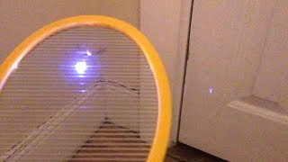 Electric Fly Swatter Battle Executioner vs ZapIt vs Elucto  Bug Zapper Review [upl. by Enella]