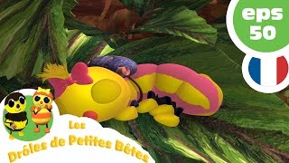 DRÔLES DE PETITES BÊTES  EP50  La poisse [upl. by Chandra]