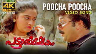 Poocha Poocha Video Song  Pattabhishekam 4K  Jayaram  Mohini  BernyIgnatius  M G Sreekumar [upl. by Hadwin]