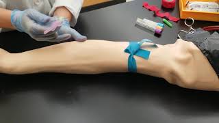 Phlebotomy Venipuncture Procedure [upl. by Atiuqa54]